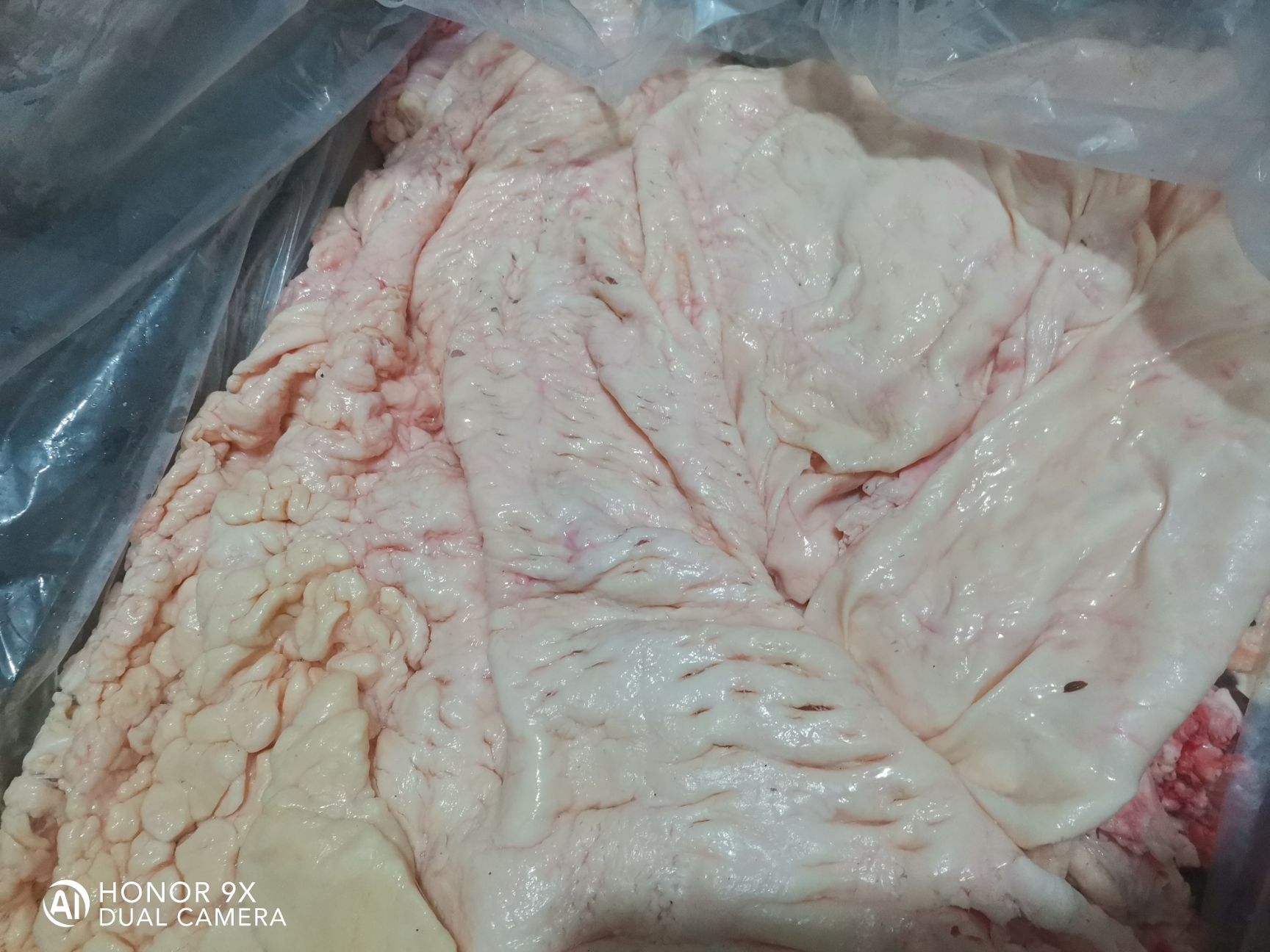 牛胸口油 批发本地好牛油生油
