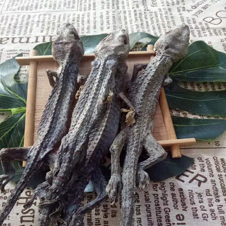 中药材蛤蚧广西大粗尾 粗尾特大蛤蚧干炖汤泡酒500克包邮免
