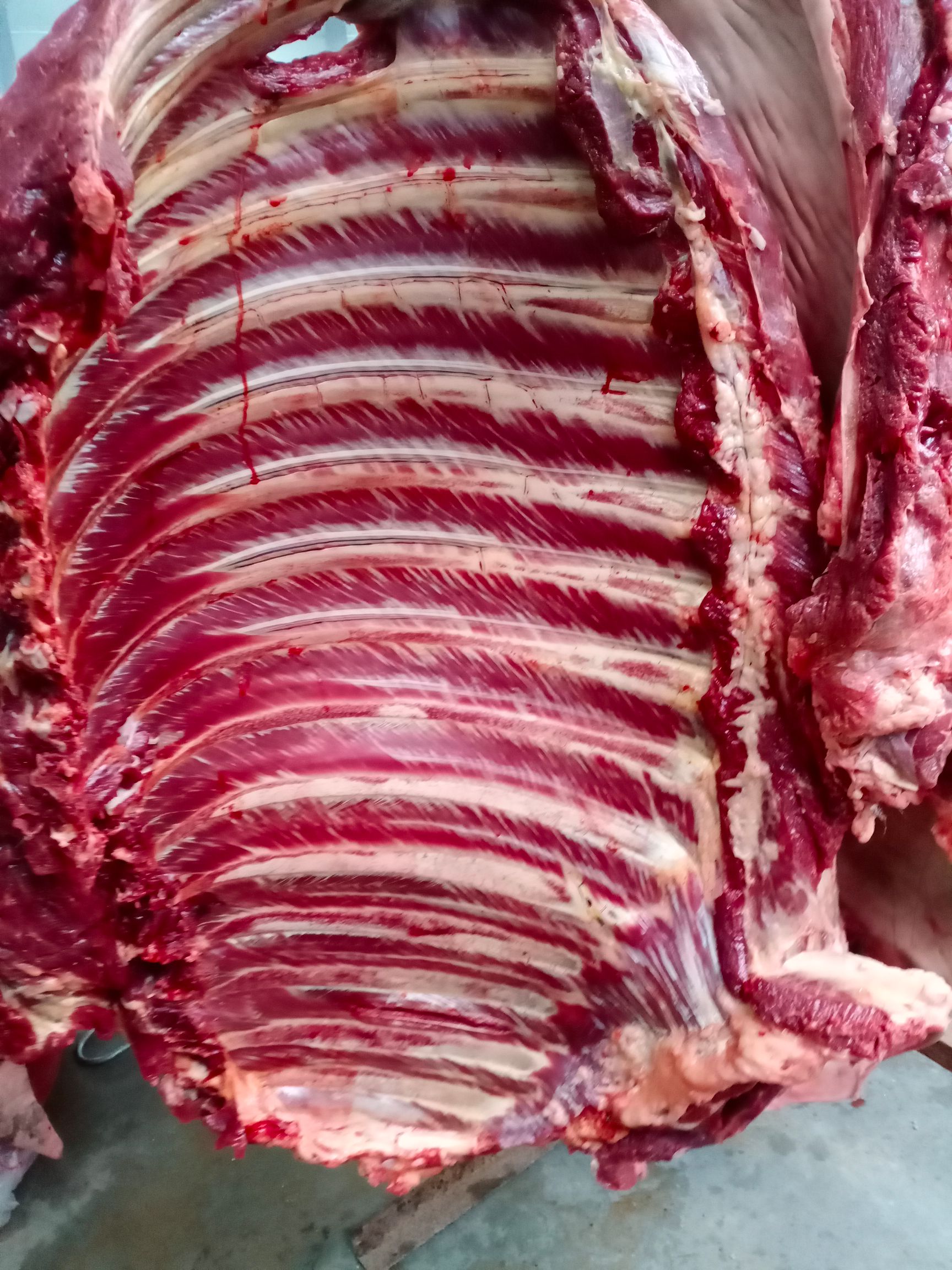 现宰现杀鲜马肉,纯干货,人工精修去油,及各种马副产品,有现货