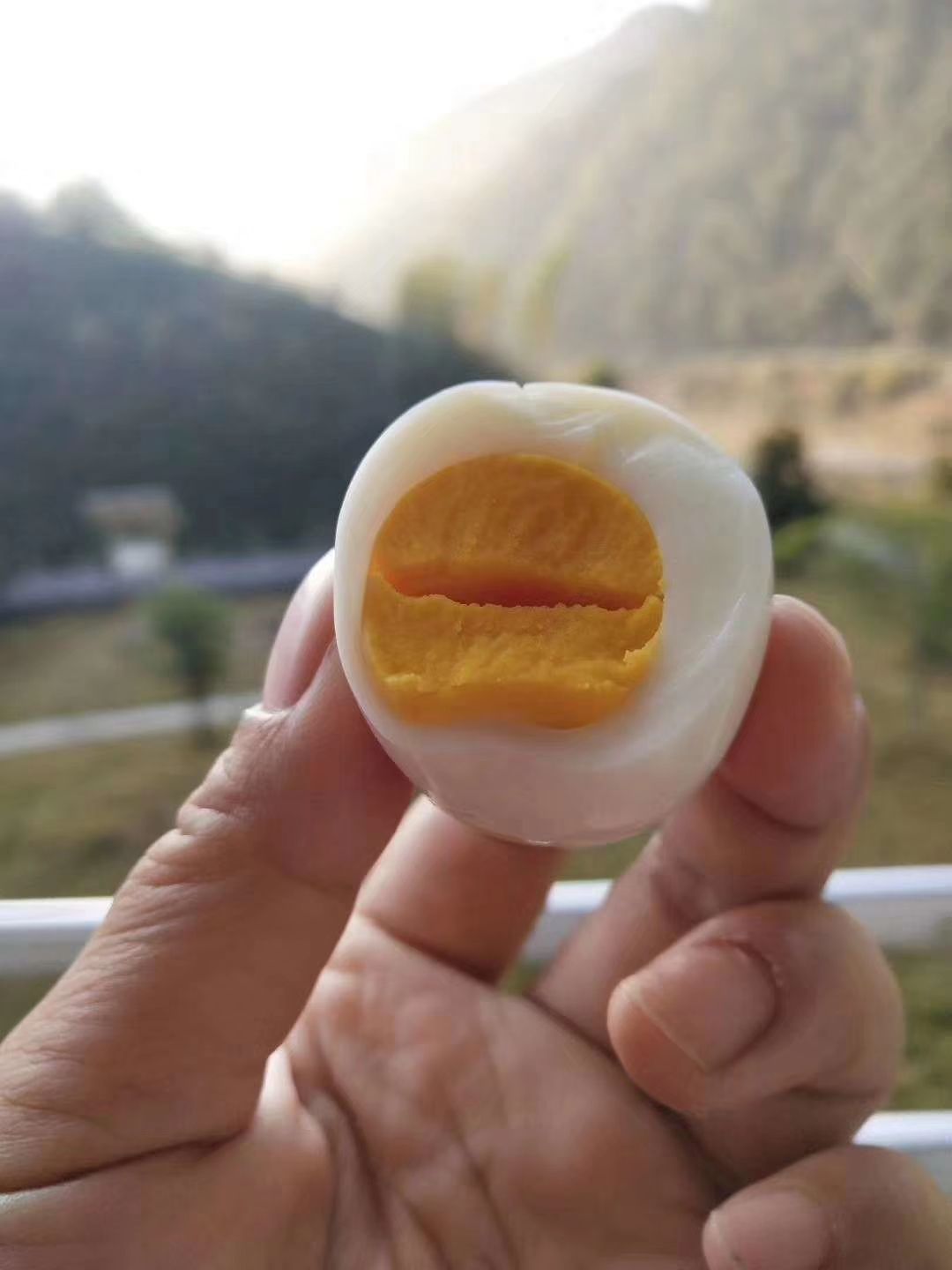 皖南山林放养土鸡蛋 蛋清粘稠 蛋黄大(按需分拣 )