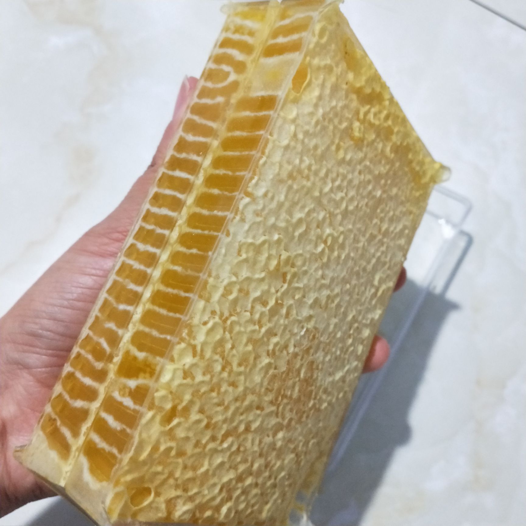 蜂巢蜜 可以嚼着吃的蜂蜜 无法造假的天然蜂巢蜜 甜而不腻