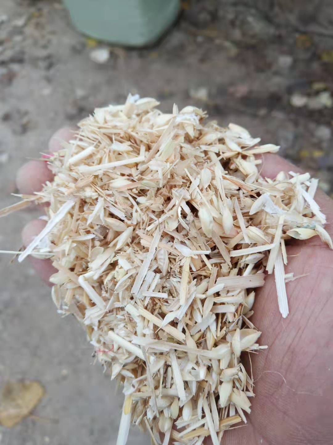 糠麸饲料麦糠无土无膜压捆装的起吨位含少量瘦麦子需要的老板联系