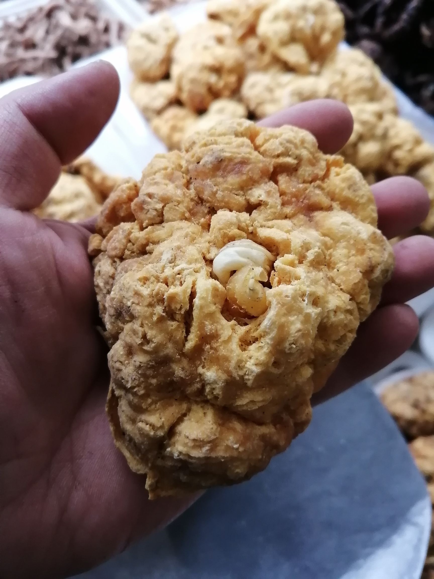 正品 胎盘,紫河车可代打粉