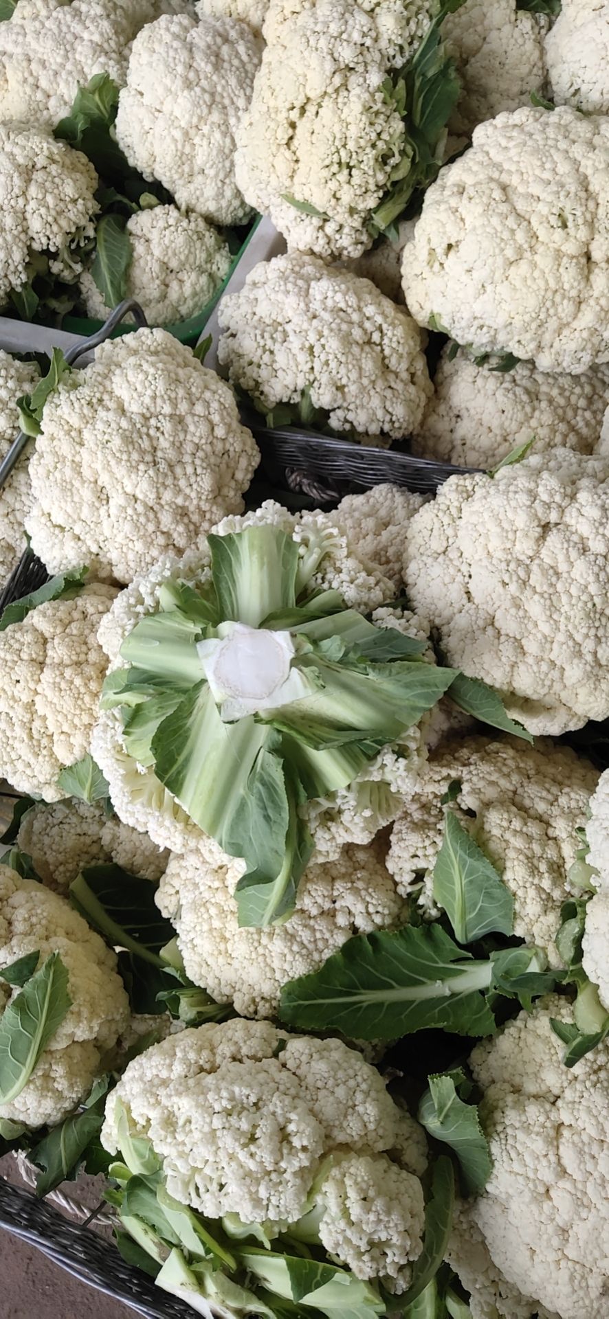 精品有机花菜