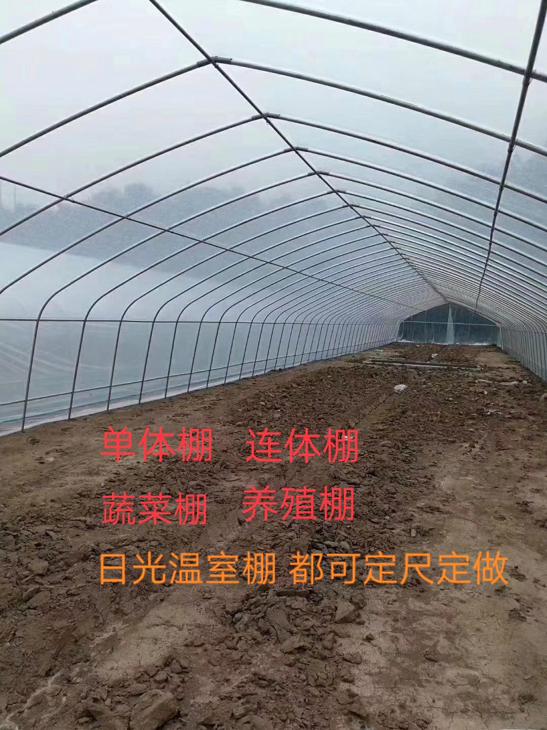 钢管大棚