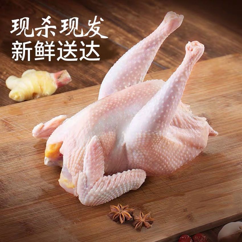 农家散养土鸡老母鸡农村三黄鸡白条鸡新鲜鸡肉整鸡一整只鸡月子鸡
