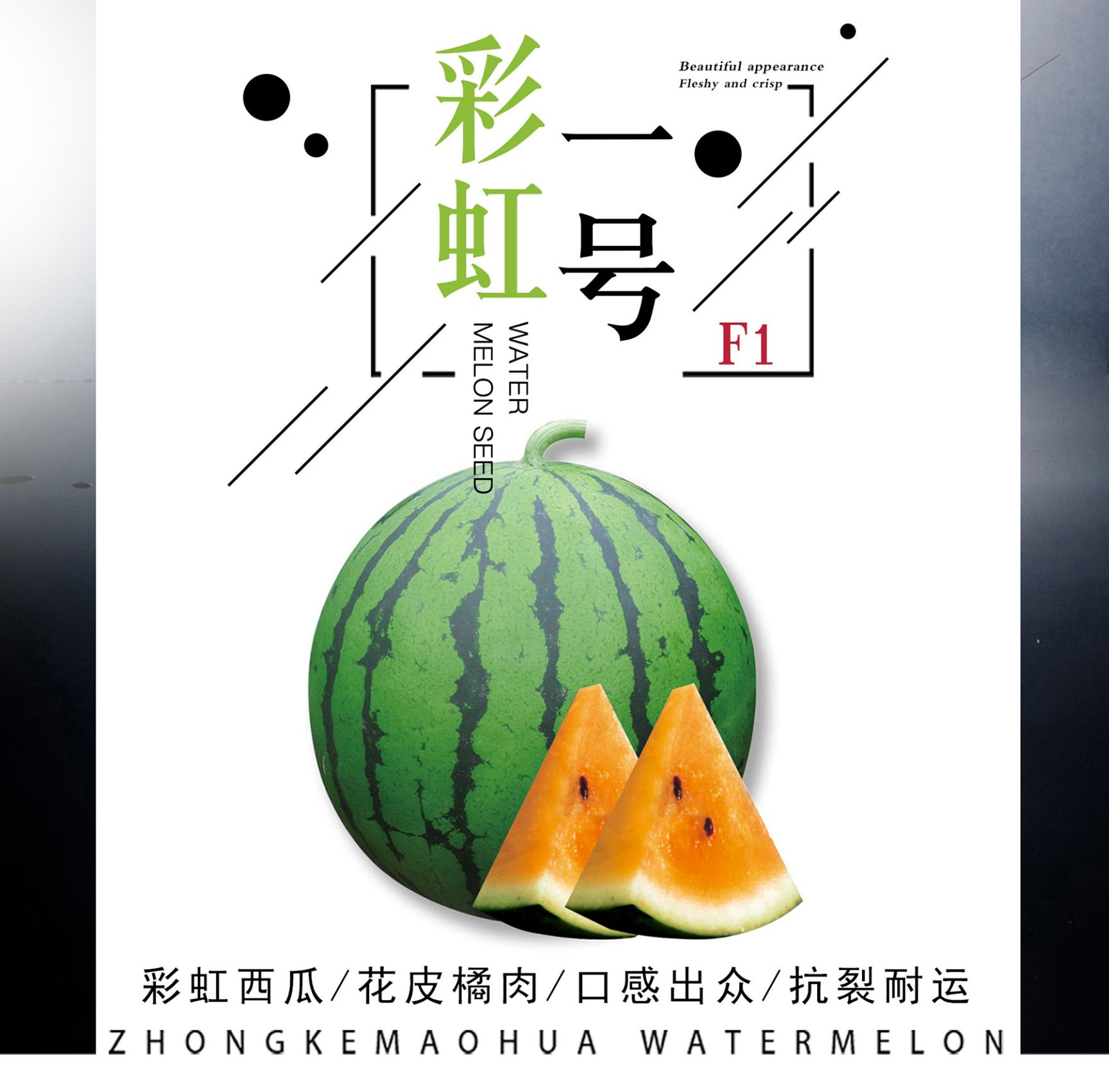 西瓜种子,8424