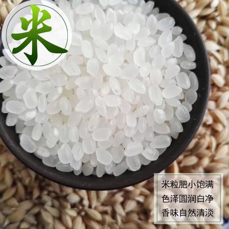 吉林松原前郭尔罗斯蒙古族自治县 东北大米珍珠米5斤/包一件代发