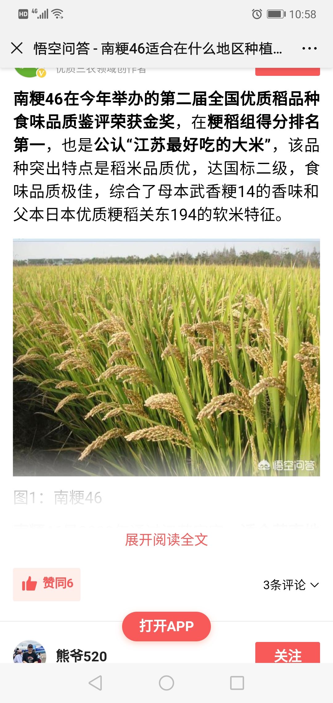 [南粳5055批发] 新稻好种子,出米率高,出米