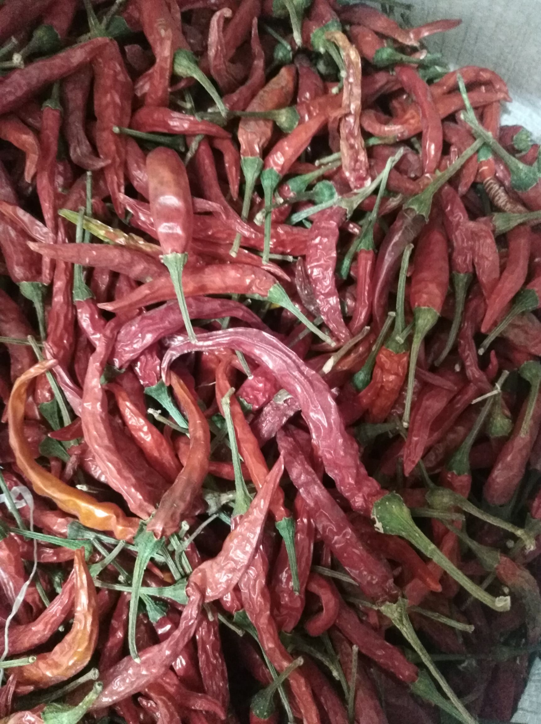 小米椒干辣椒 干艳红小米椒