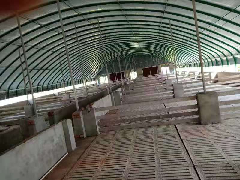 专业安装鸡鸭鹅牛羊猪各种钢管温室养殖大棚