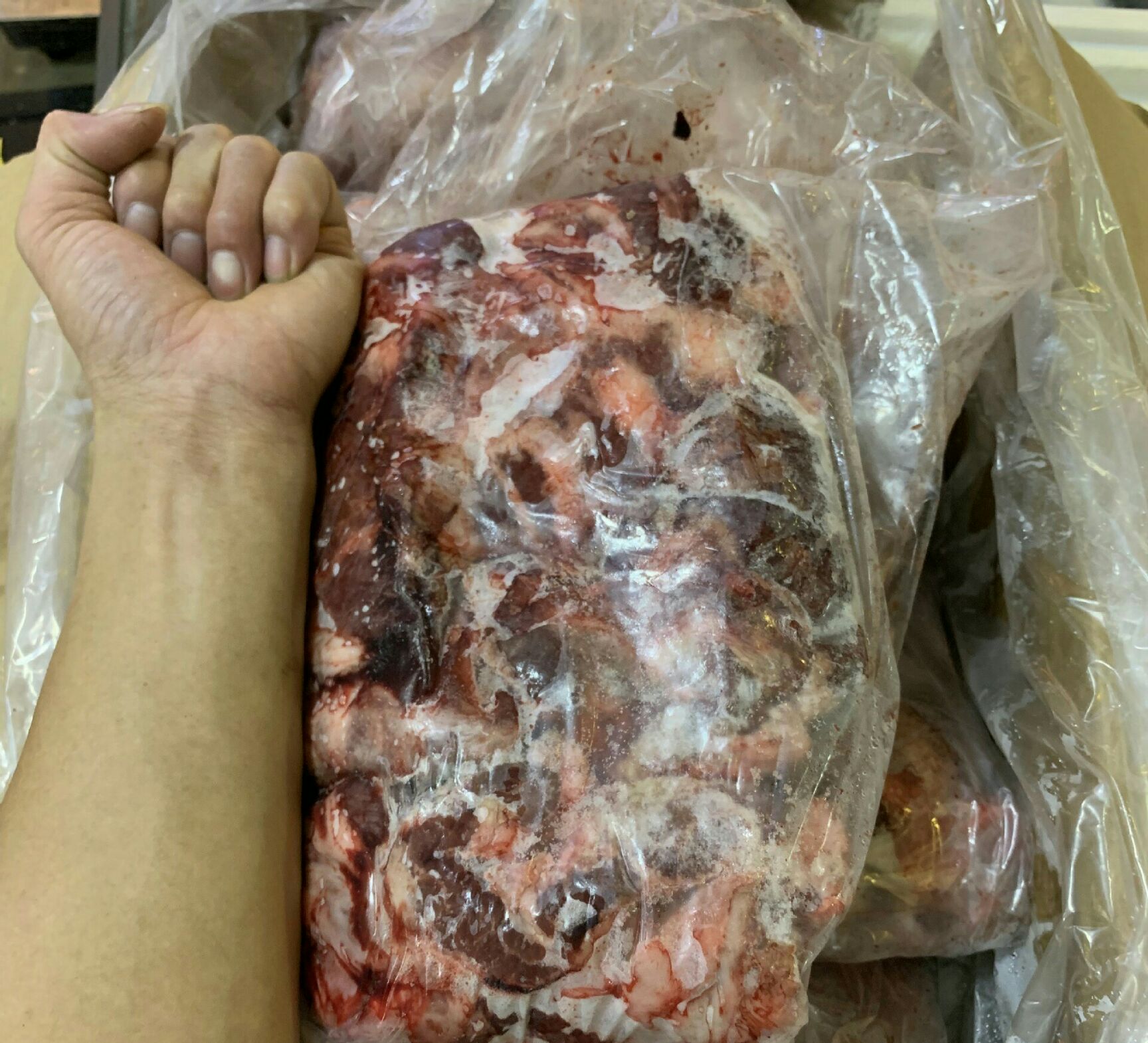 猪心 冷冻精品护心肉猪护心肉大排边护心冷冻猪肉烤肉专用10kg/件