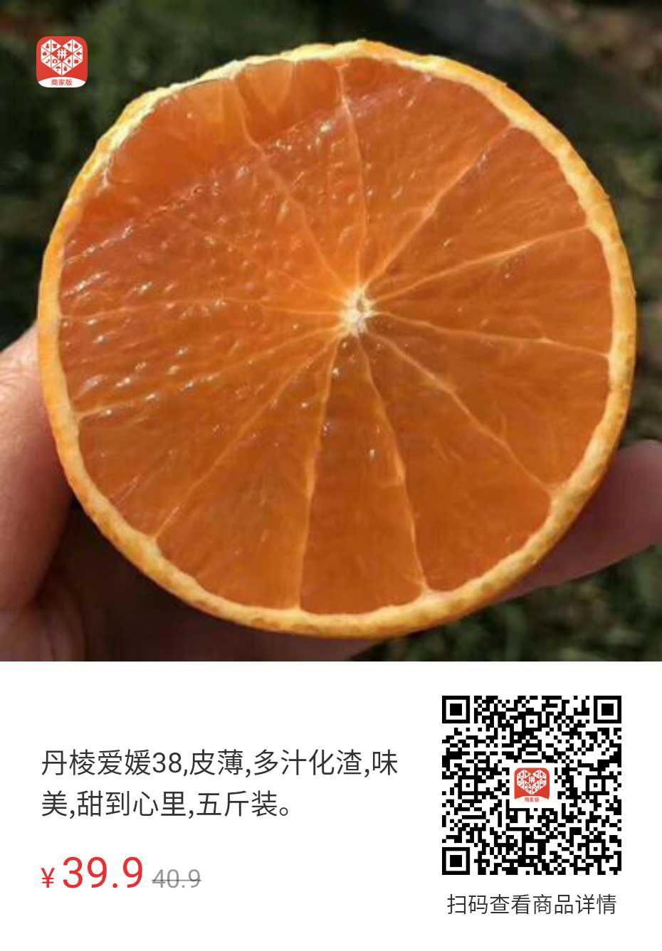 爱媛38号柑桔 爱媛果冻橙