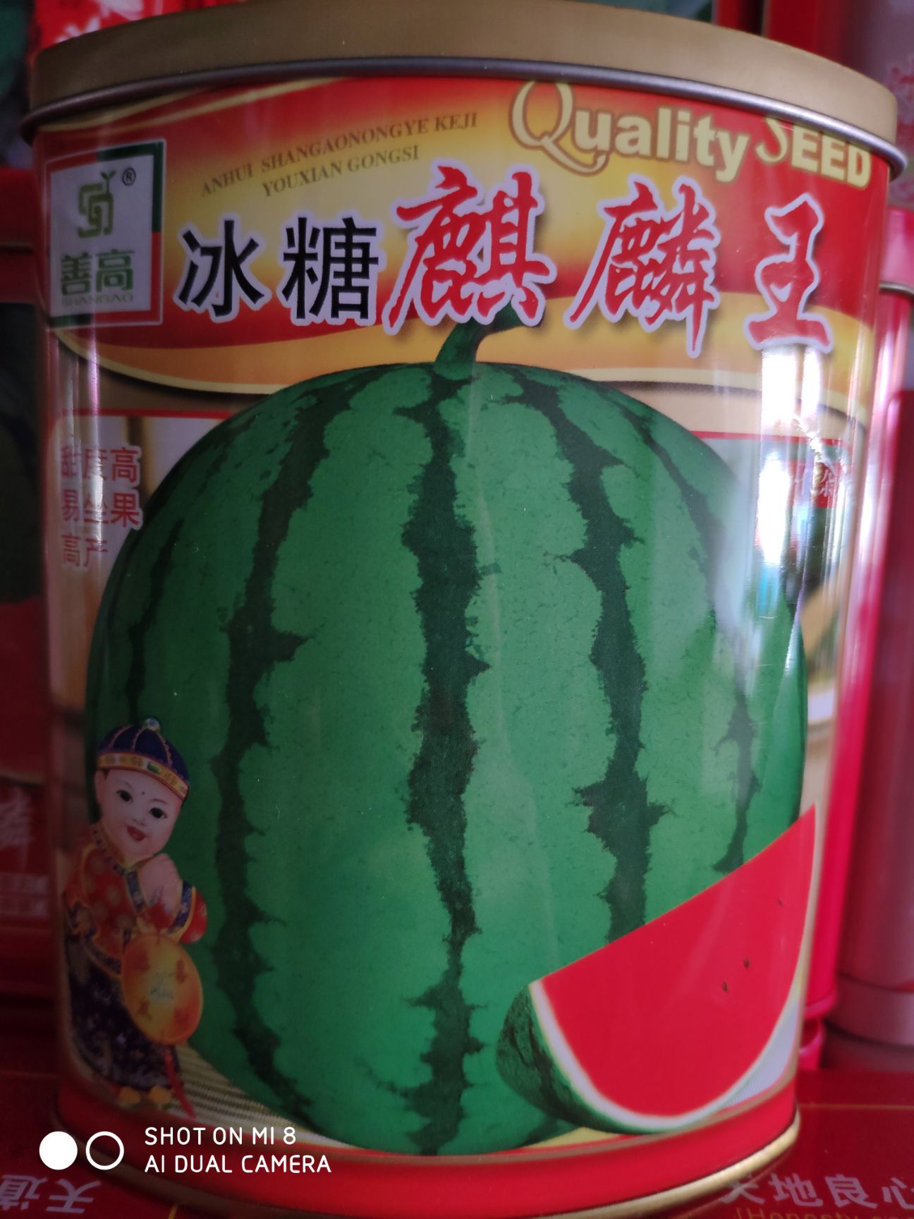 冰糖麒麟王西瓜种子 早熟品种 圆形大果 花绿皮覆腊粉美观囊色红特甜