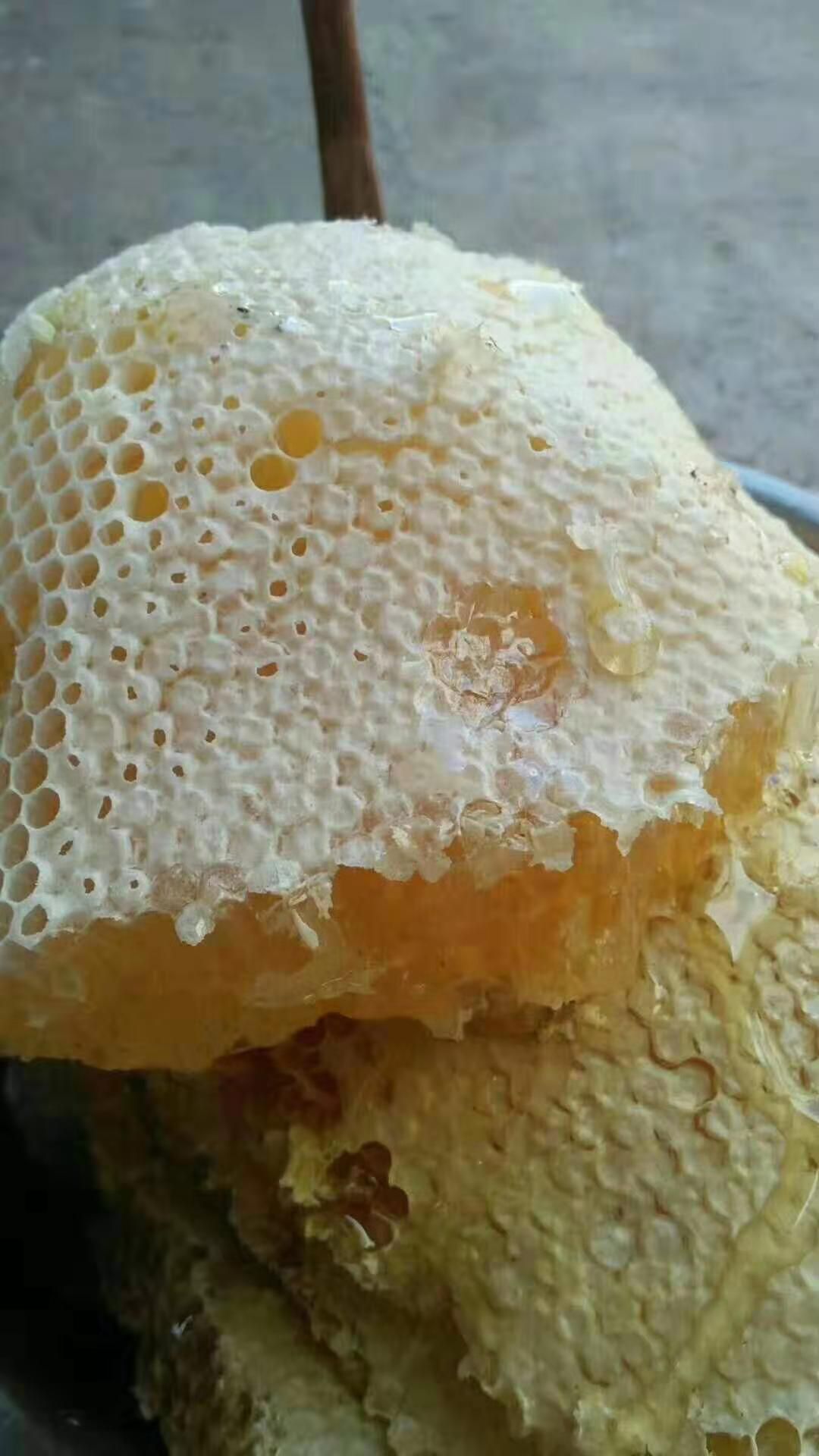 农家土蜂蜜