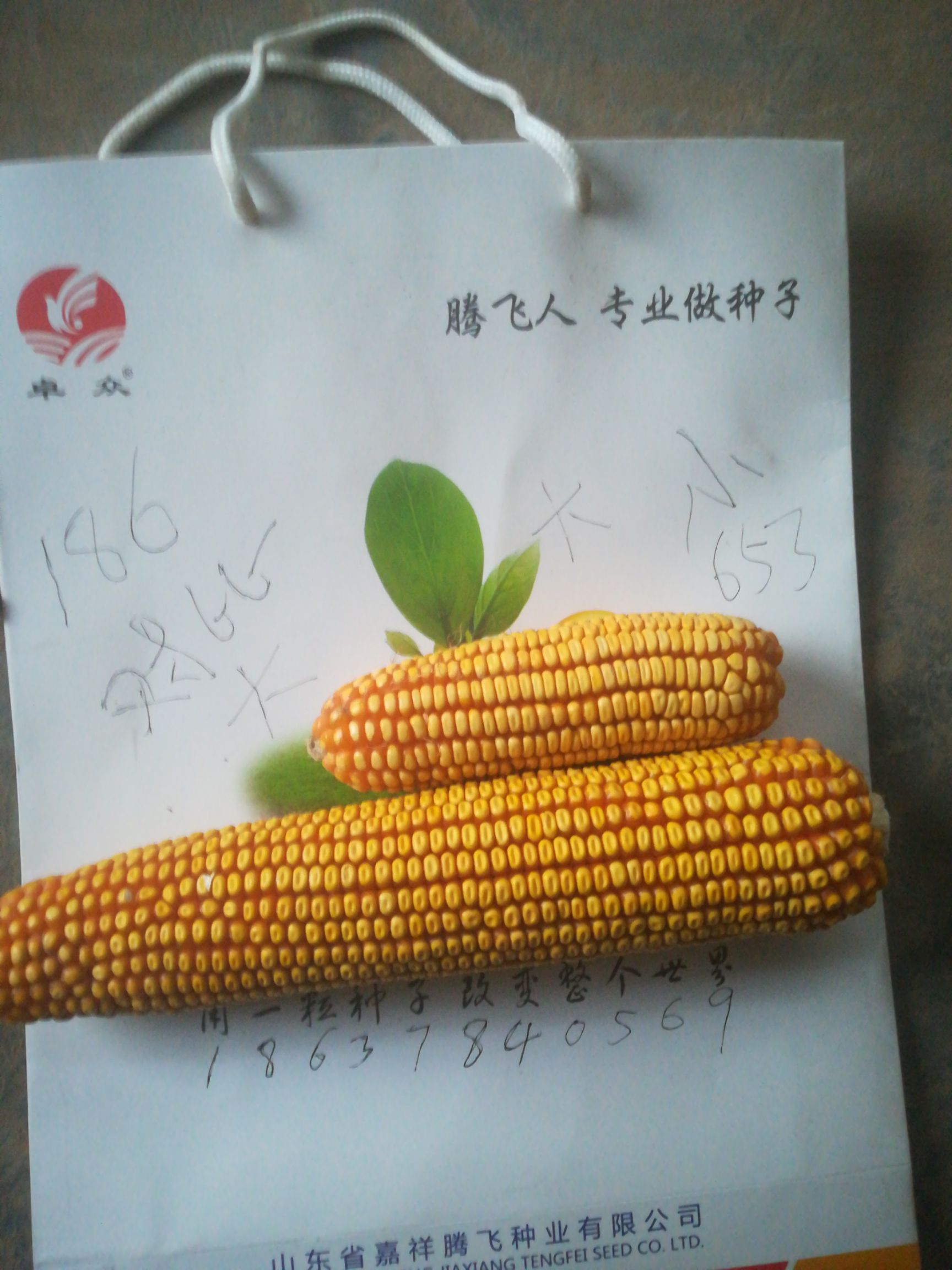 金大棒玉米种子 特别大,不怕不识货,就怕货比货.认准国审2018@@@@真品