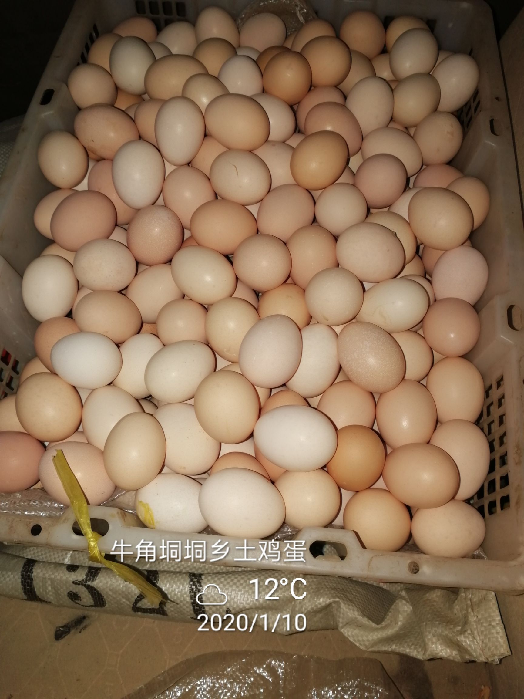 土鸡蛋 