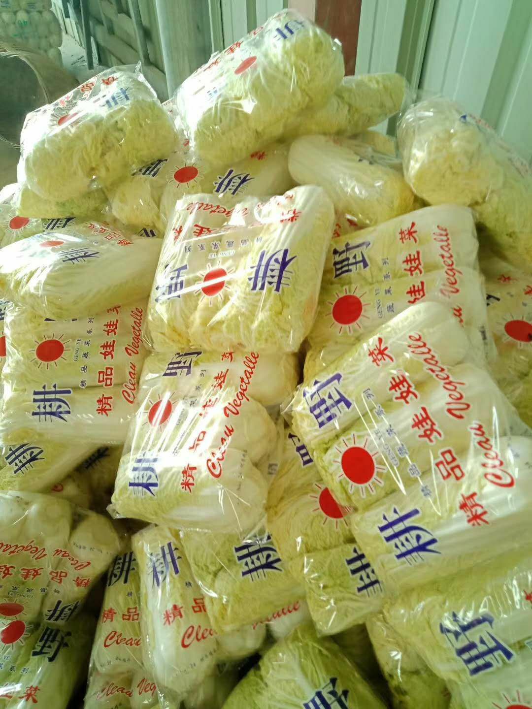 精品娃娃菜,绿色无污染,包装精美