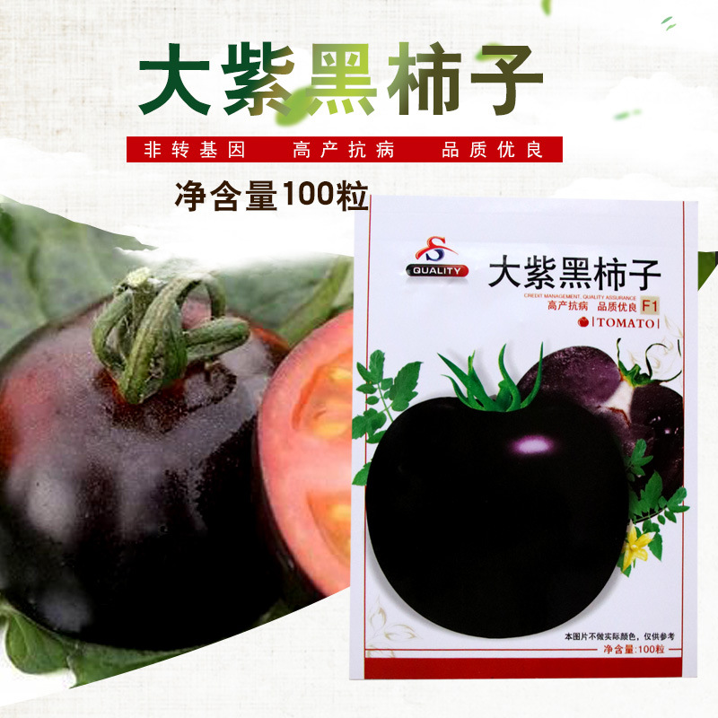 紫玉番茄种子 鑫特大紫黑柿子番茄种子西红柿蔬菜种子庭院阳台种菜易