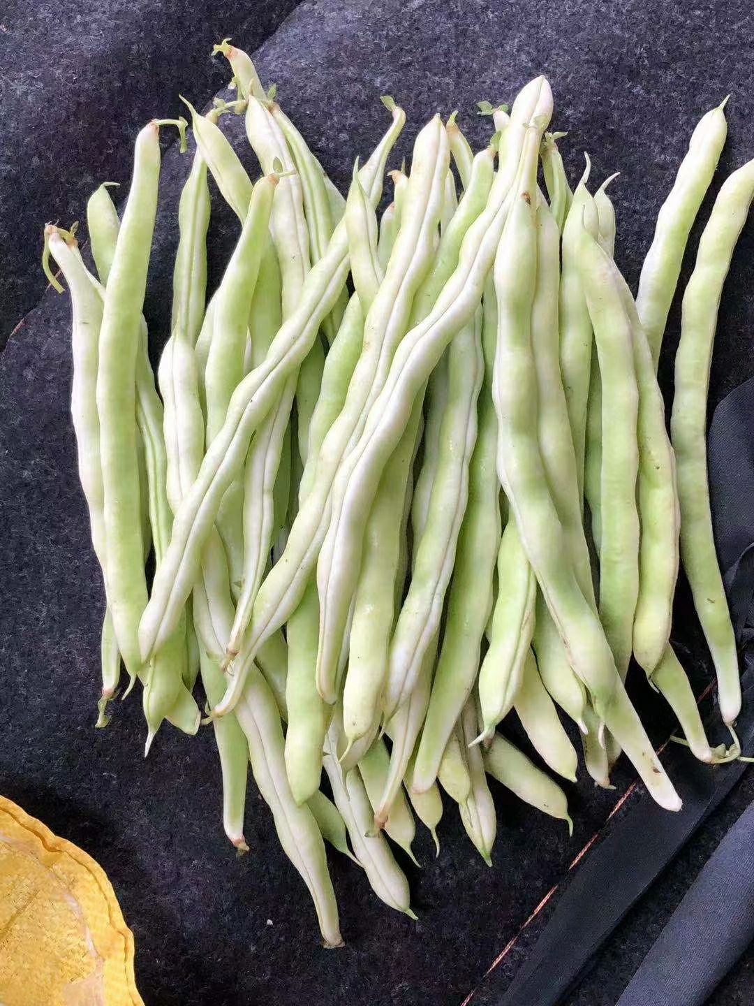 山东省临沂市沂南县 沂蒙山优质农产品,国家地理标志性蔬菜"杨坡芸豆"