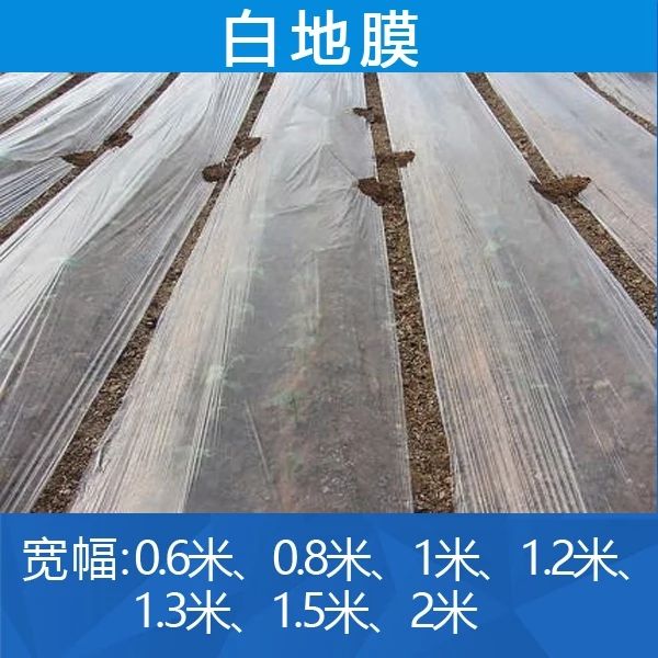 白地膜 【塑料布薄膜加厚农用白色透明防水蔬菜大棚膜地膜装修防尘