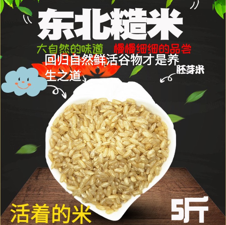 唐山迁安市 东北糙米原产地直达你的餐桌营养天然活米5斤装包邮