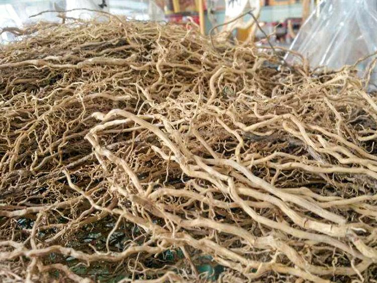 中药材精选正品贵州大伸筋牛尾菜牛尾蕨牛尾结大通根干货包