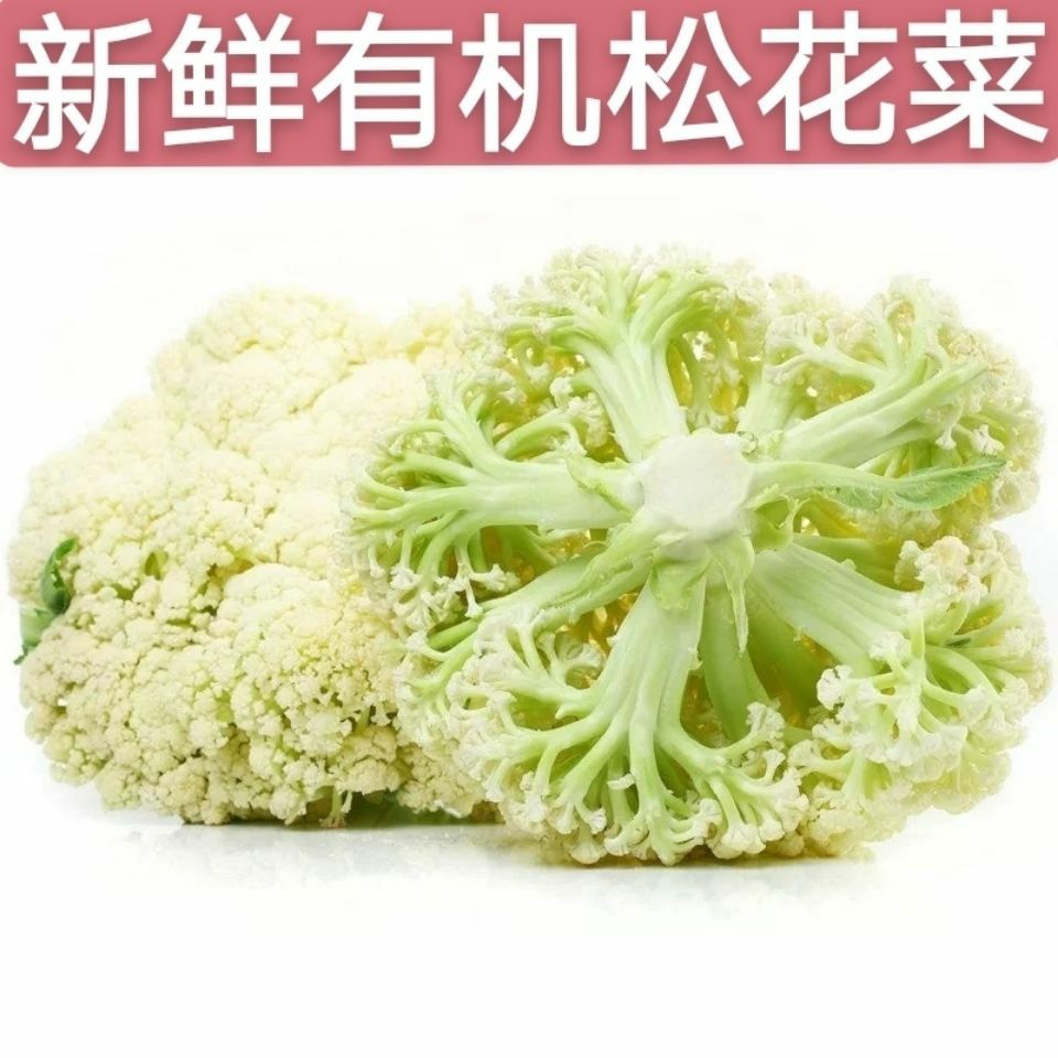 广东省潮州市湘桥区 有机松花菜蔬菜类新鲜蔬菜批发农家蔬菜时令蔬菜