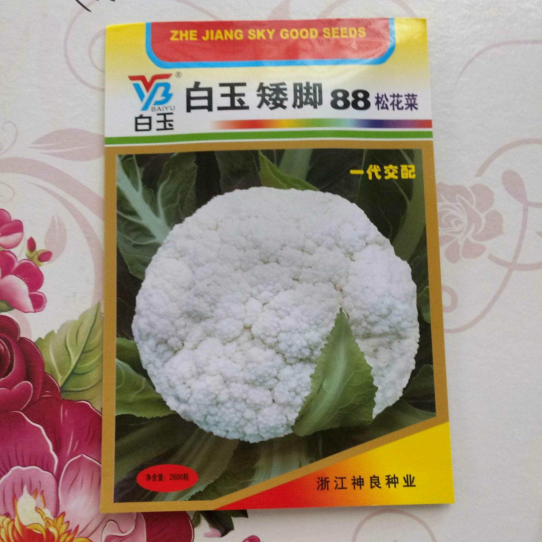 松花菜种子 惠尔佳亮丽66青梗有机花菜种子