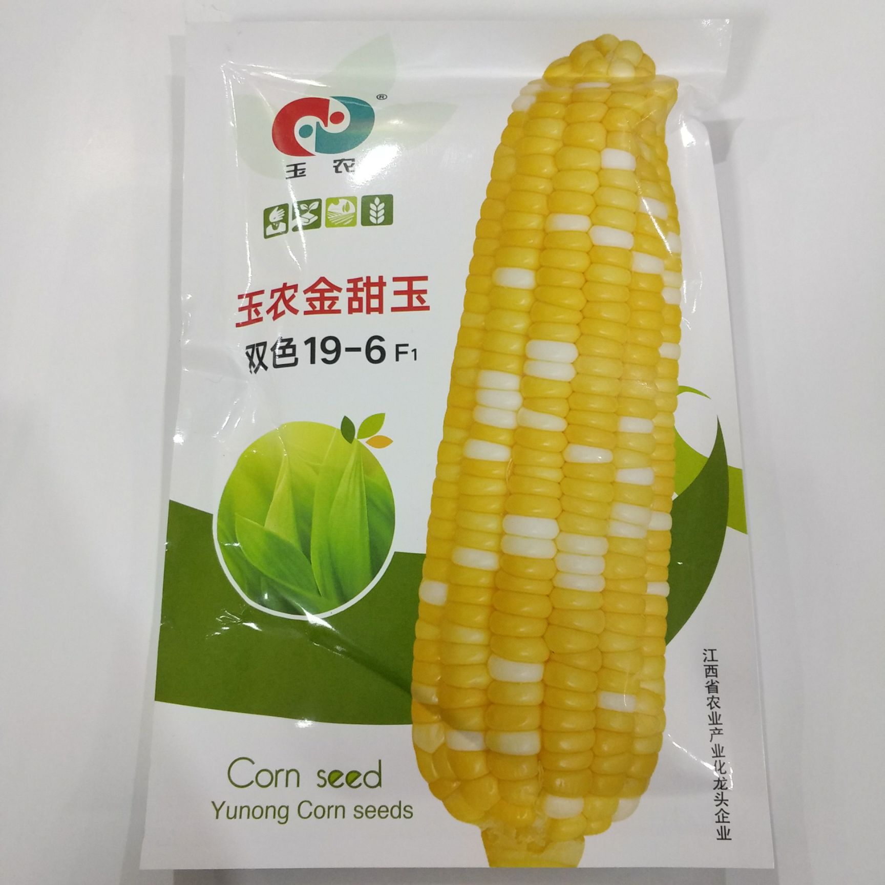 澳甜糯65甜糯玉米种子批发极早熟甜糯玉米种子