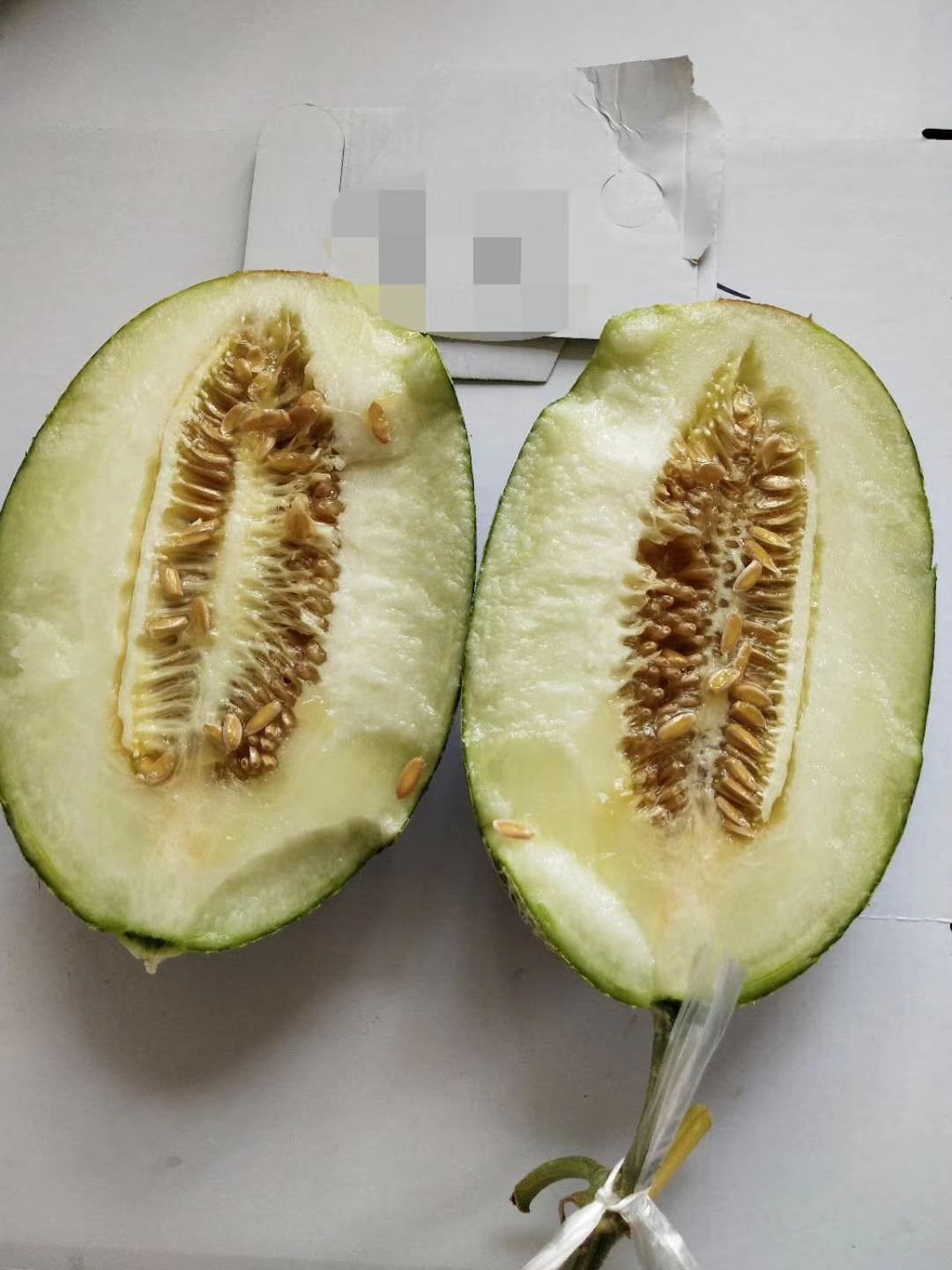 蜜罐甜瓜 翡翠佳人