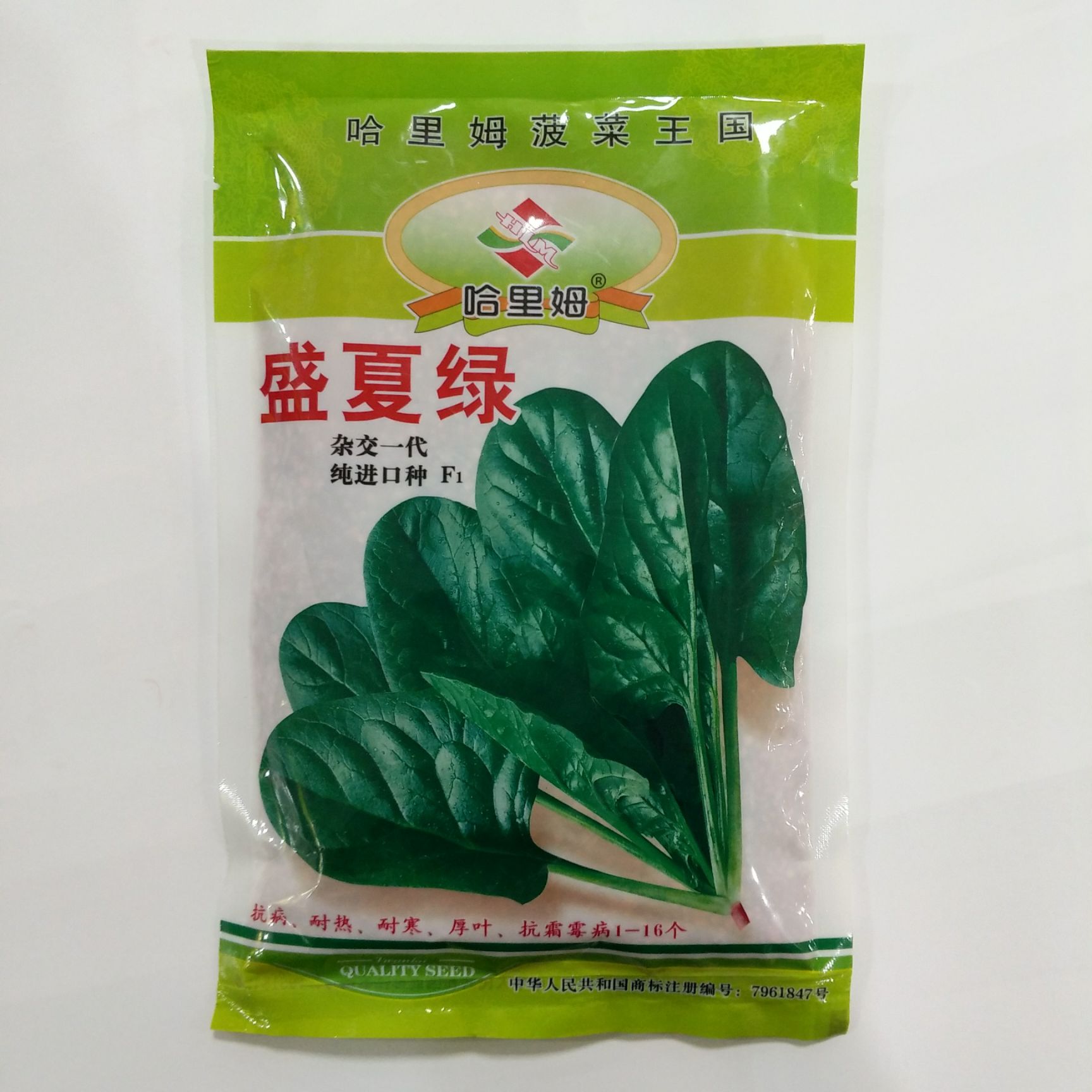 中蔬菠胜黑圆叶菠菜种子批发