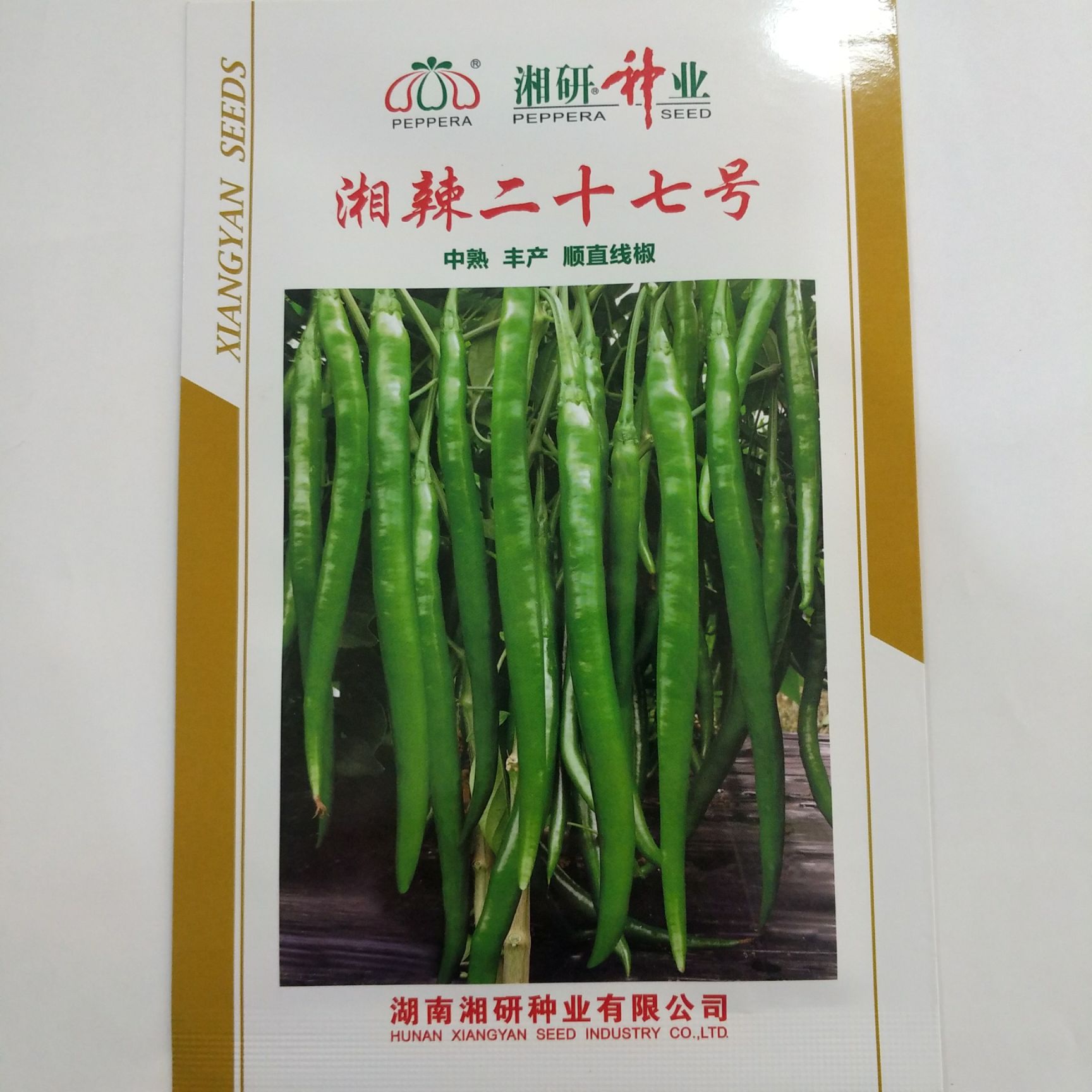 湘辣一号辣椒种子批发
