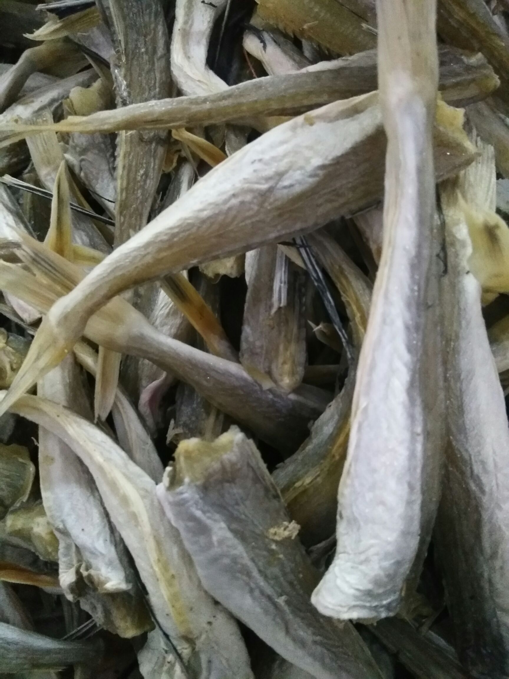 三牙鱼干,角肉,去头,去肚,海鱼,含盐