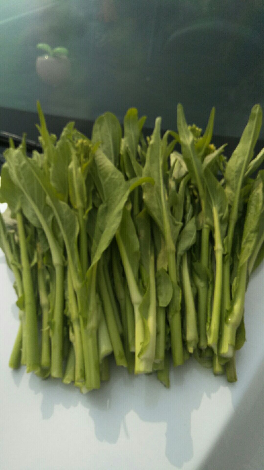 湖南甜菜