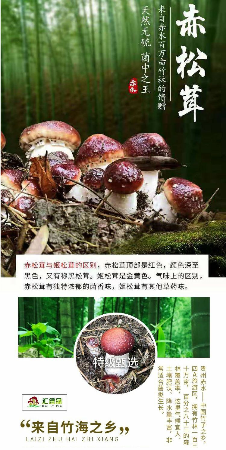 2020新鲜香菇干货红头蘑菇干蘑菇赤松茸农家特产