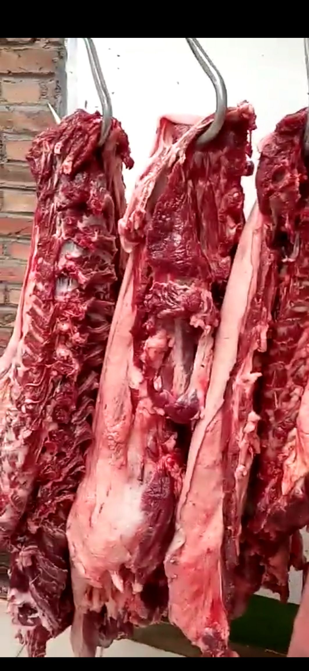 新鲜驴腿肉