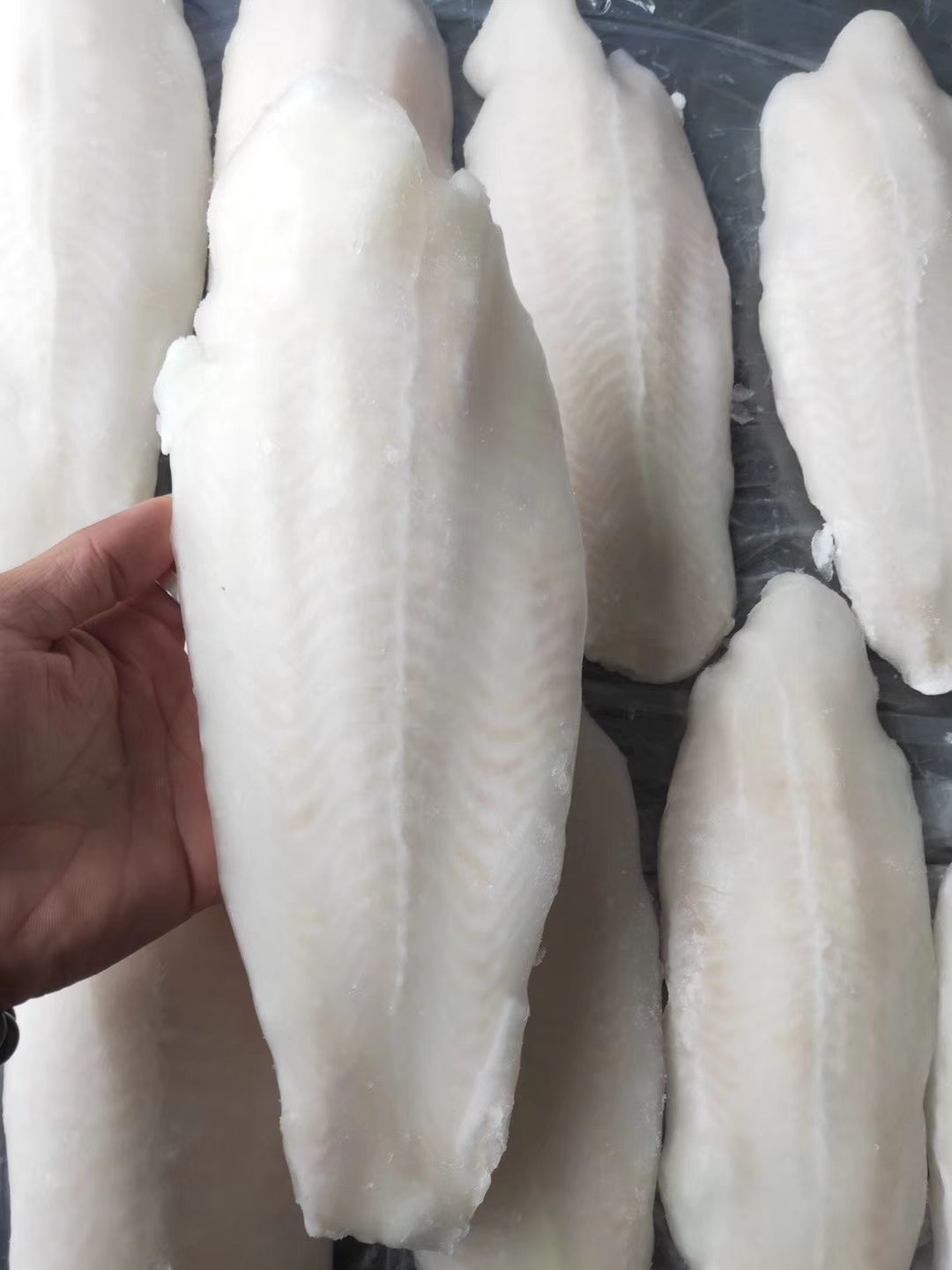 越南冷冻无骨巴沙鱼柳龙利鱼柳10Kg/箱酸菜鱼水煮鱼食材6-9成货-阿里巴巴