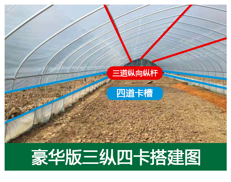 成套大棚单体温室大棚养殖棚花卉大棚