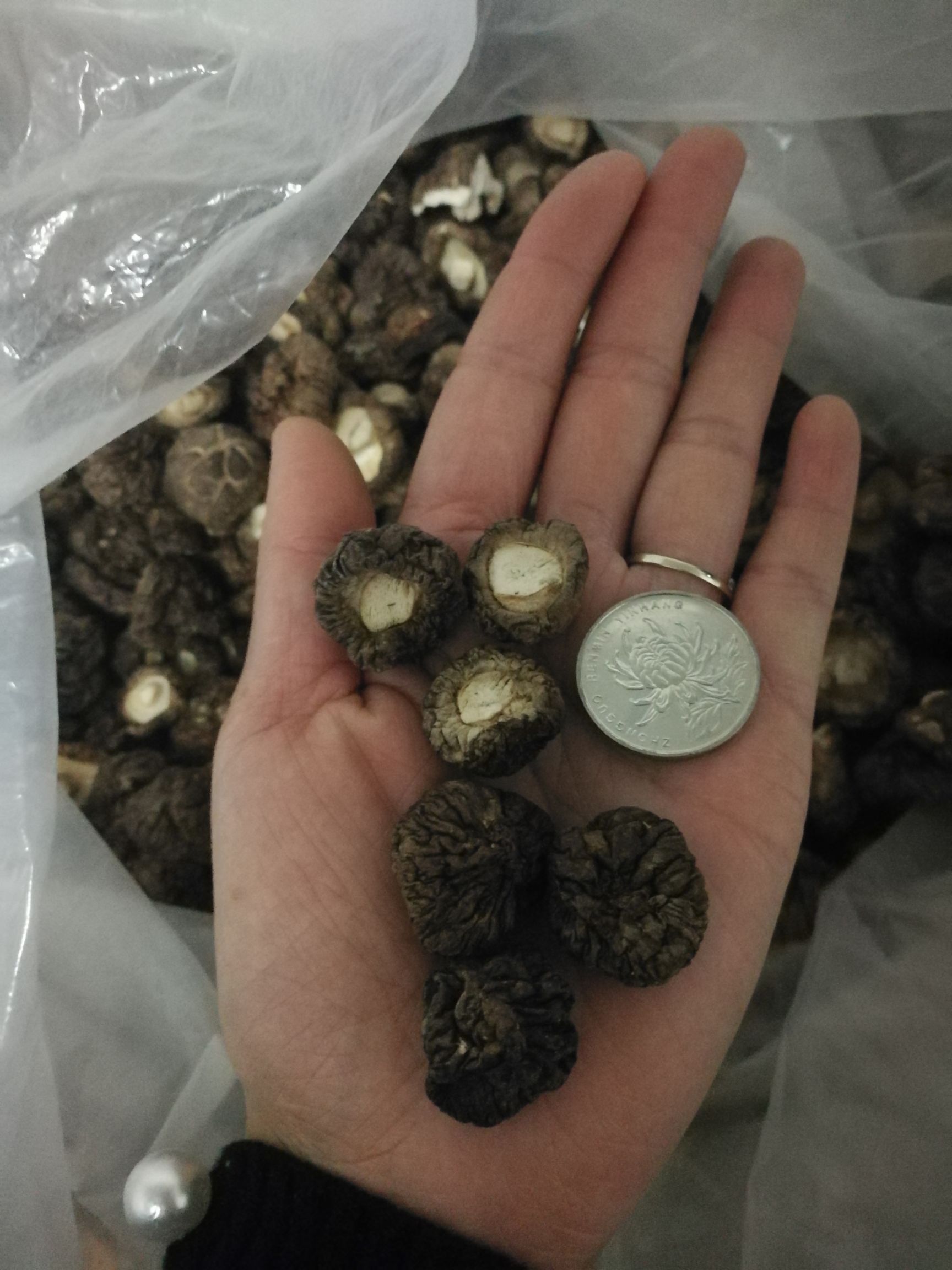 香菇为真菌植物门真菌香蕈的子实体,属担子菌纲伞菌科,是世界上着名的
