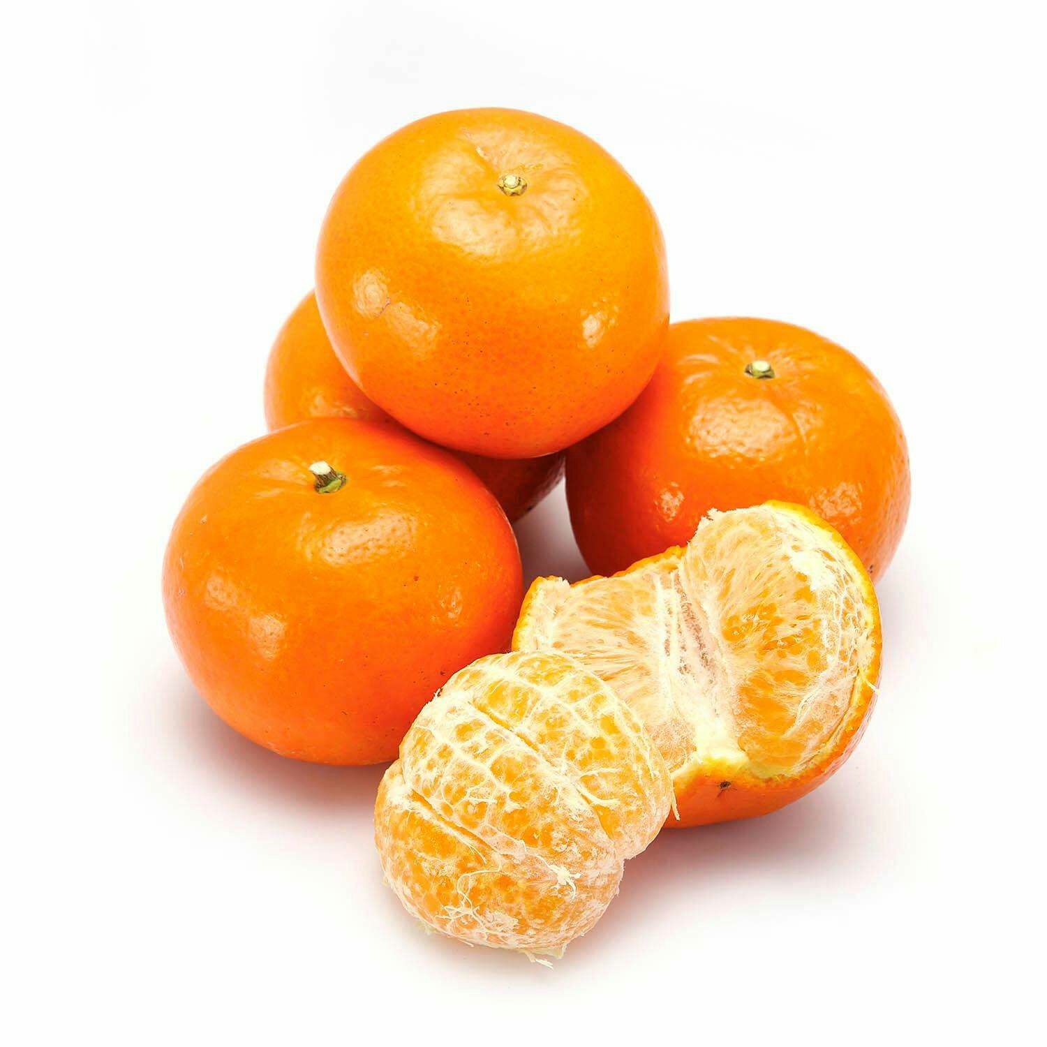 我种的沃柑橘子个大,原来吃沃柑橘子有这么多好处,我竞然不知道