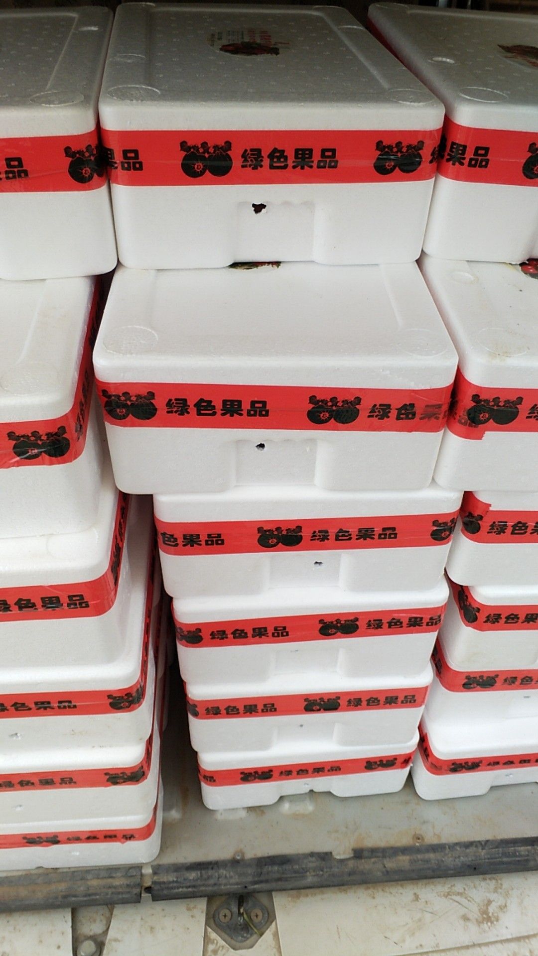 釜山88圣女果 釜山88玲珑小番茄