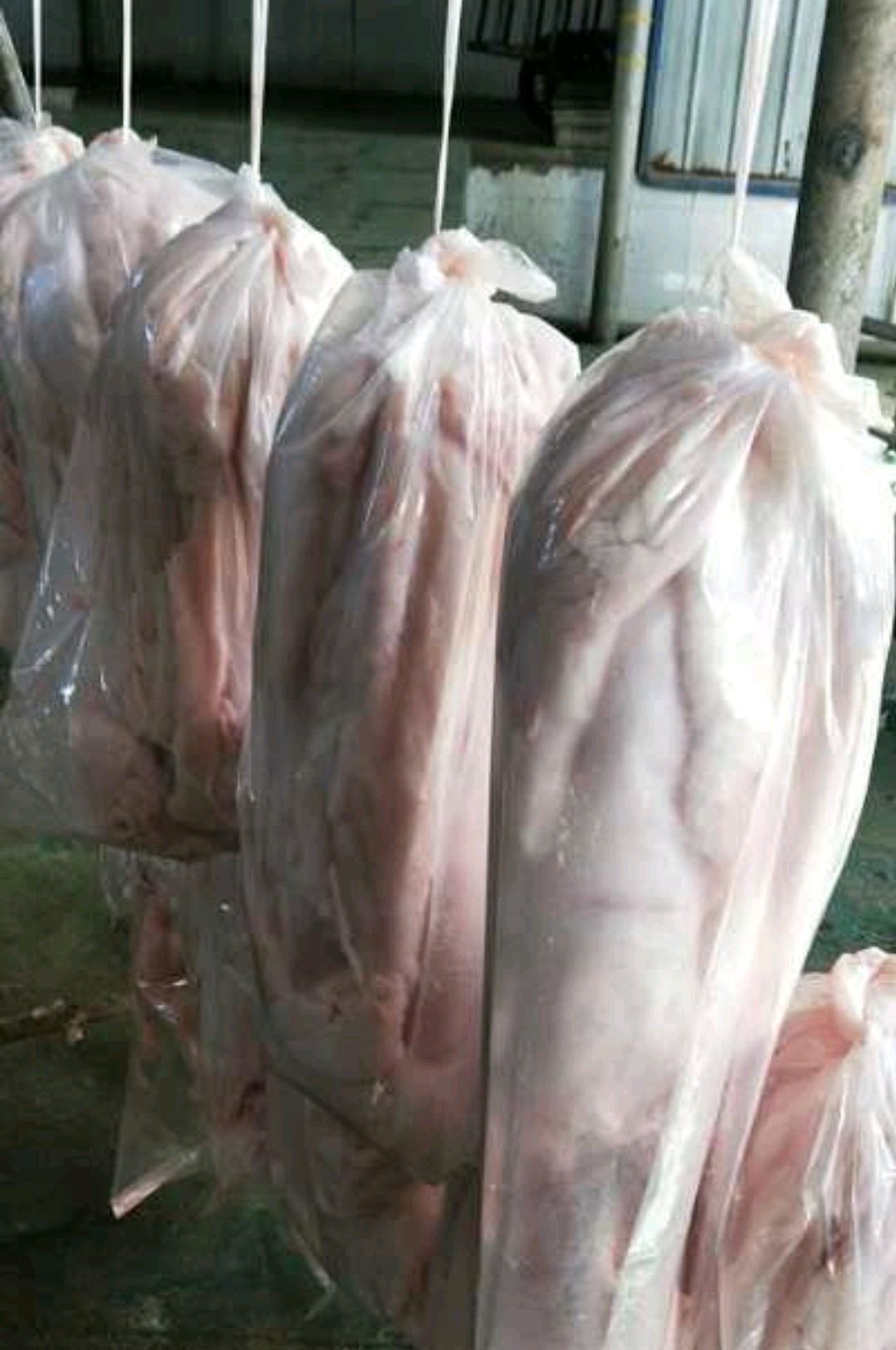 西班牙吊挂猪板油