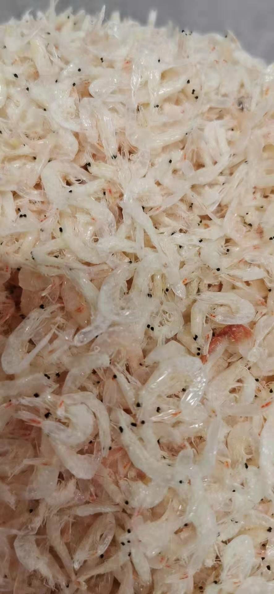 [淡水虾干批发]淡水虾干 虾皮价格28元/斤 10斤起批 惠农网