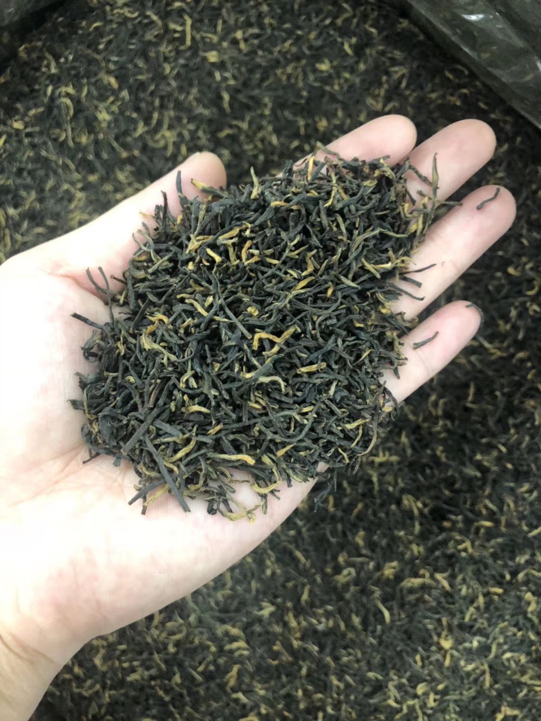 正山小种 新款武夷山岩茶金骏眉粟香型红茶叶桐木关金俊眉散装500g