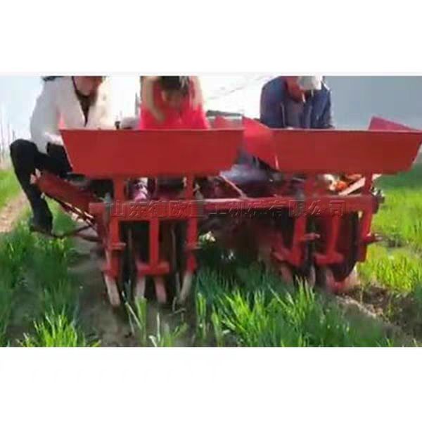 移栽机 厂家供应二行大葱移栽设备葱苗深度可调栽葱机红葱大葱辣椒