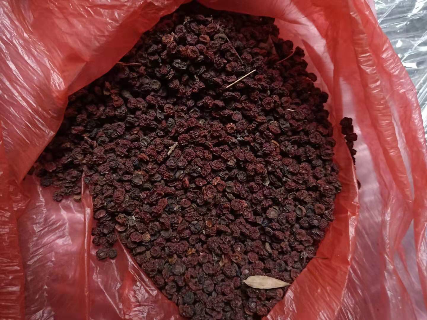 防己种子 江西粉防己干种子