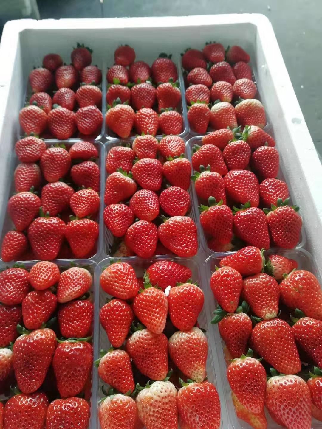 久香草莓