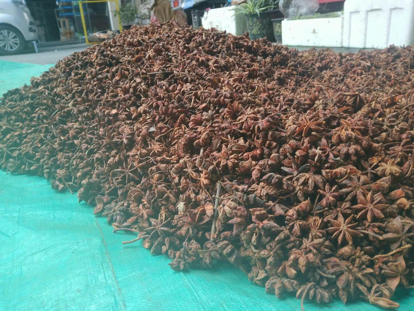 八角产地直达量大优惠