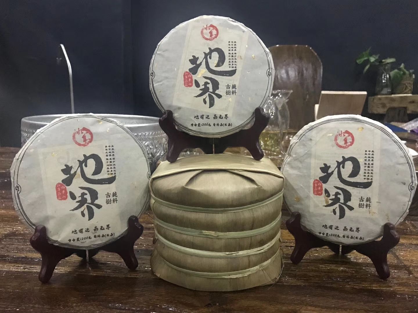 冰岛古树茶 2019冰岛地界古树茶